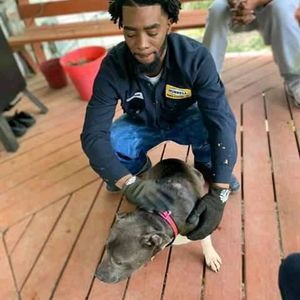 Meet your Posher, Fred